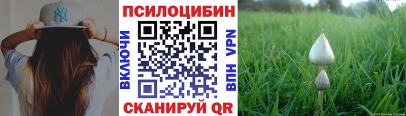 магазин  наркотиков  kraken ONION  Псилоцибиновые грибы Psilocybe  Шебекино 